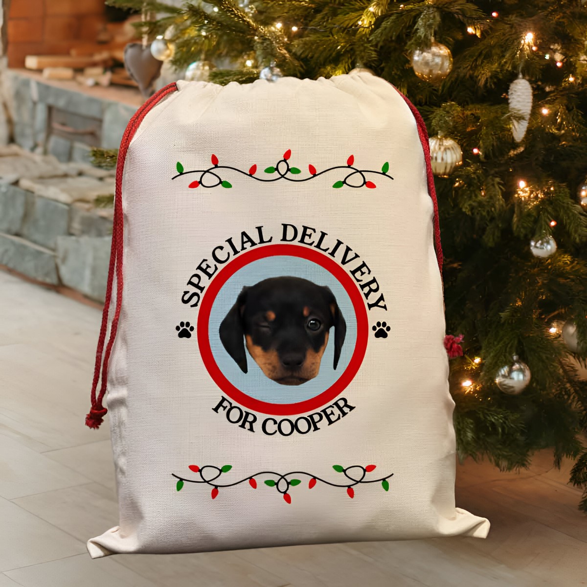 Personalised Special Delivery Photo Santa Sack For Cats And Dogs - Click Image to Close