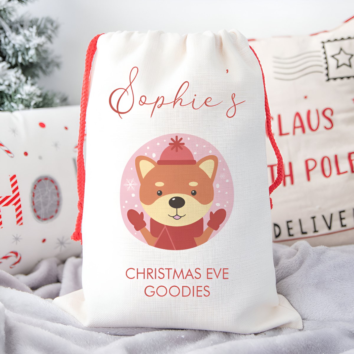 Personalised Childrens Santa Sack - Doge - Click Image to Close