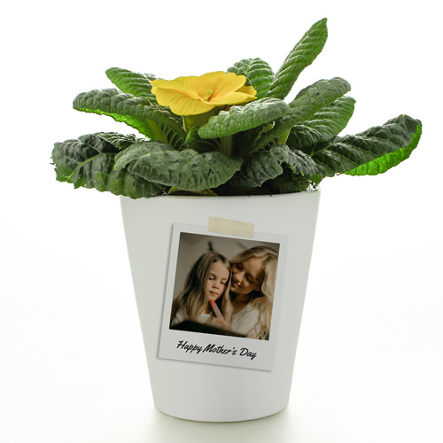 Personalised Flower Pot - Polaroid Photo Upload