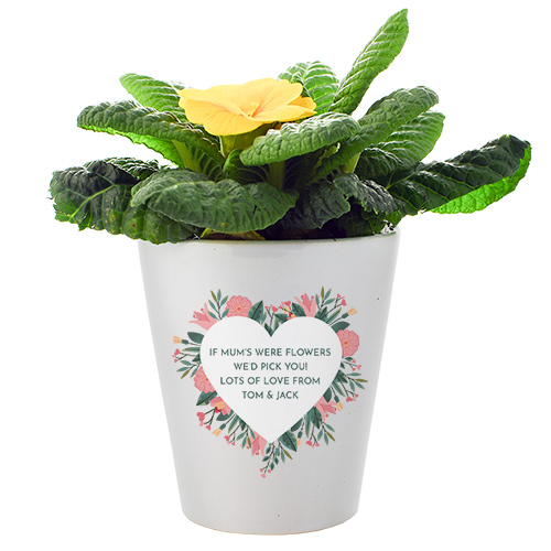 Personalised If Mums Were Flowers I\'d Pick You Flower Pot