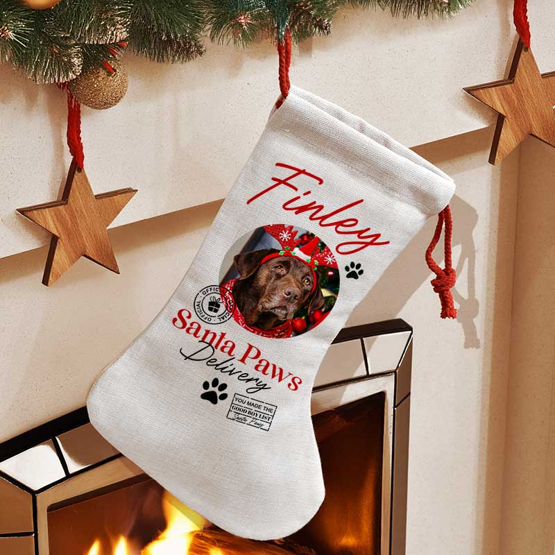 Photo Upload Pet Treats Christmas Stocking