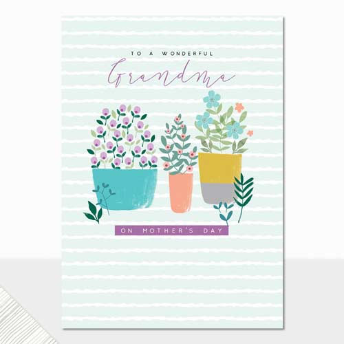 Wonderful Grandma on Mother's Day Greeting Card
