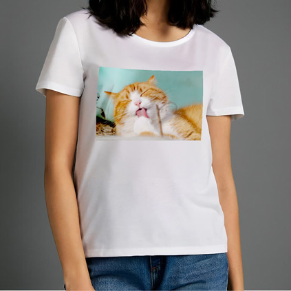 Personalised T-Shirt Any Photo And Message